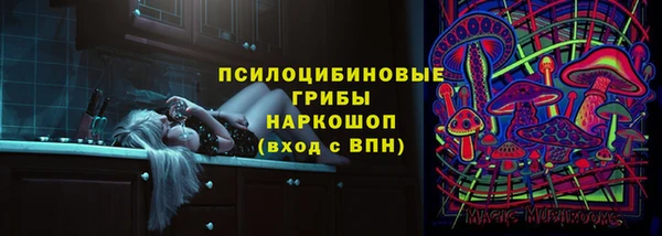 амф Богородск