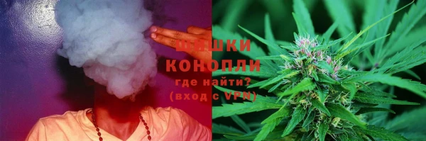 стаф Богданович