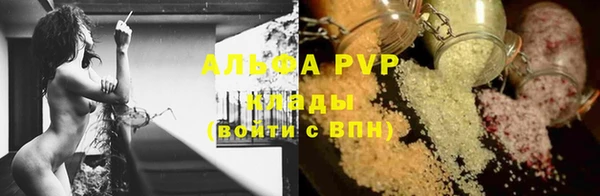стаф Богданович