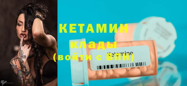 стаф Богданович