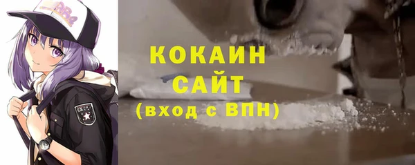 стаф Богданович