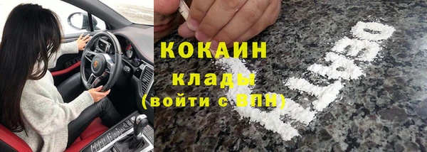 стаф Богданович