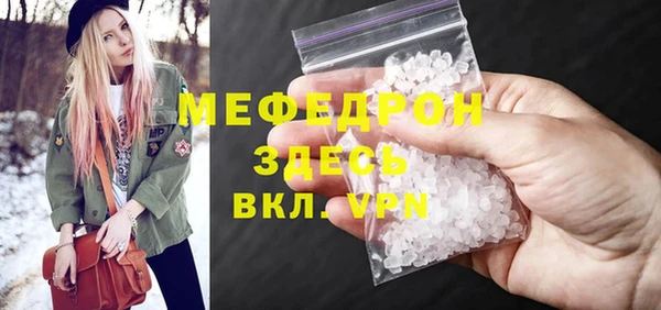 стаф Богданович